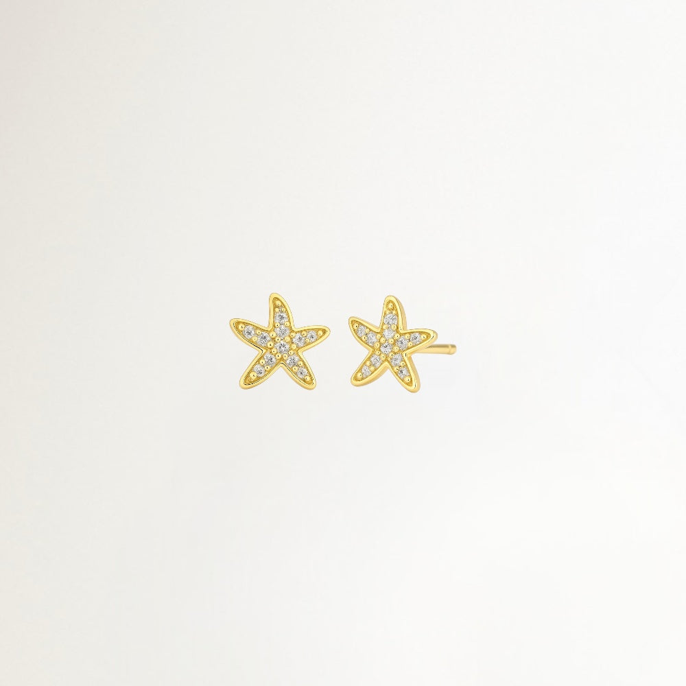 AROS ESTRELLA DE MAR CON CIRCONES