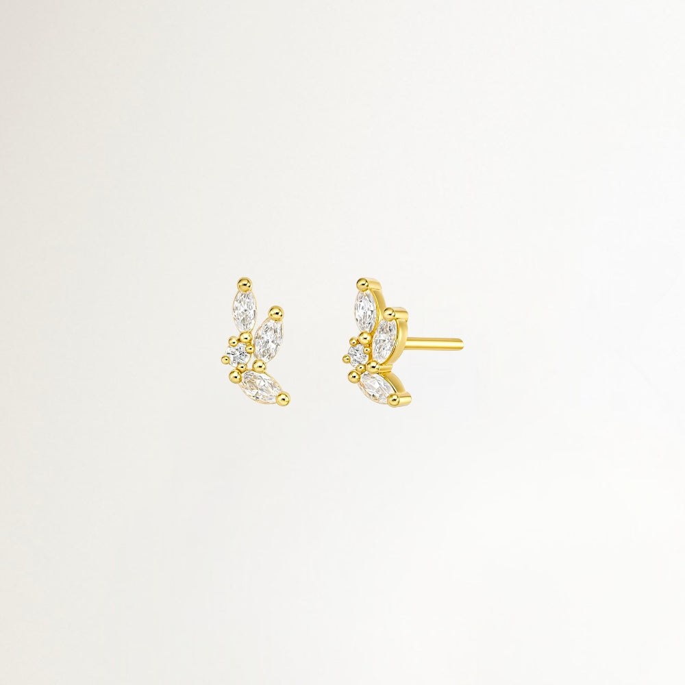 AROS HOJA DE CIRCONES